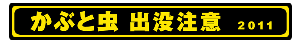 かぶと虫出没注意 2011